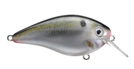 Buy natural-shad STRIKE KING KVD 1.5 SQUAREBILL