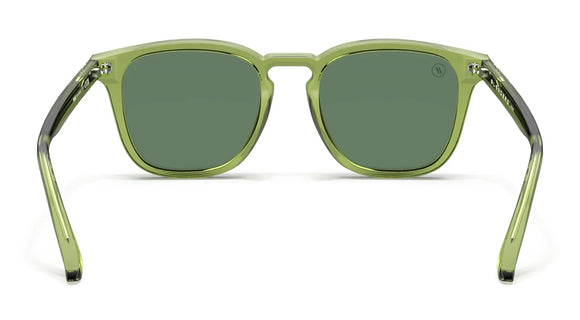 BLENDERS SYDNEY PINE SUNGLASSES