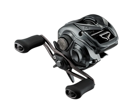 DAIWA 24 TATULA SV TW 100