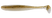 Motor Oil Ayu
