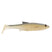 Blackback Shad