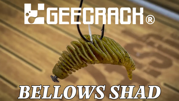 Untitled   2024 05 15t135955