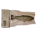 HUDDLESTON DELUXE WEEDLESS SHAD SWIMBAIT-4