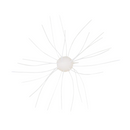 GEECRACK FINESSE CUE BOMB 1.0"-1