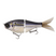 Threadfin Shad