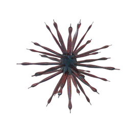 Buy blood-apple 6TH SENSE ABSTRACT