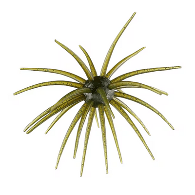 Buy guadalupe-haze HAGS "BIG TEX" PRICKLY PEAR 25MM