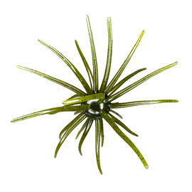 Buy hags-pumpkin HAGS "BIG TEX" PRICKLY PEAR 25MM