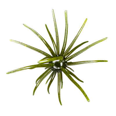 Buy hags-pumpkin HAGS "BIG TEX" PRICKLY PEAR 25MM