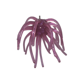 Buy morning-dawn 5150 ATOM BOMB