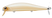 Bone N