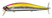 Sigth Flash N