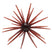 Red Bug