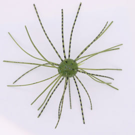 Buy weed-special-286 GEECRACK IMO KEMUSHI CUE BOMB