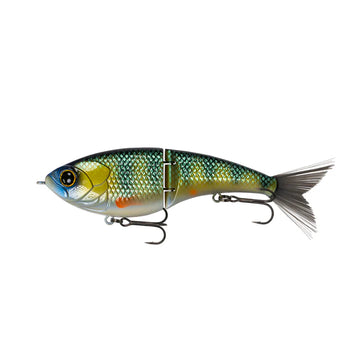 Buy yellow-perch 6TH SENSE JUDO FRESHWATER