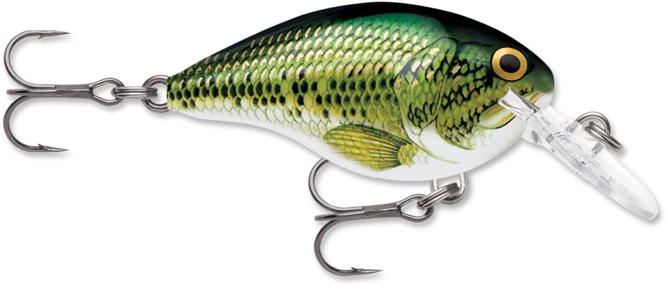 Buy baby-bass RAPALA DT SERIES CRANKBAITS / DT4 - DT6