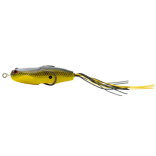 Buy charteuse-black-shad NORIES HOSHOKUON