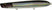 #198 Shimmer Shad