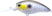 Matte Gizzard Shad
