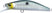 Matte Green Gizzard Shad