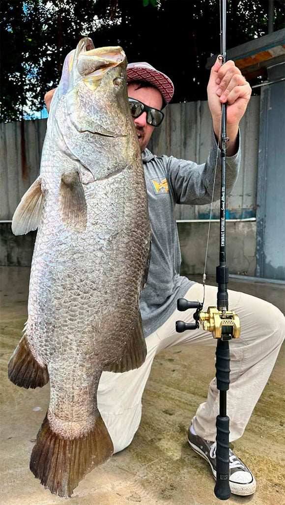 SWIMBAIT REPUBLIC SNEAK ATTACK 711 CASTING ROD