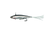 High Flash Silver Shad