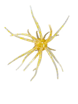 Buy marfa-light HAG'S PRICKLY PEAR