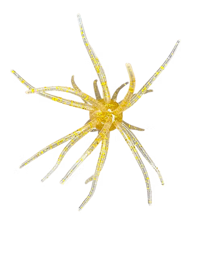 Buy marfa-light HAG'S PRICKLY PEAR