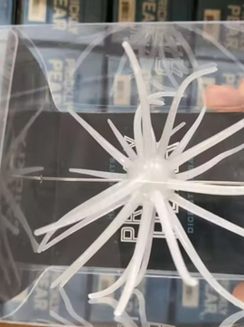 Buy texas-starlight HAG'S PRICKLY PEAR