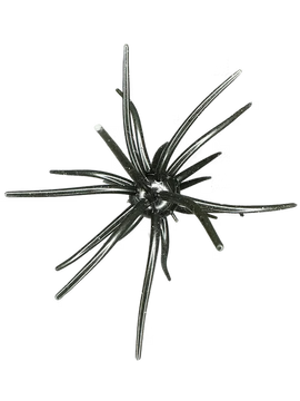 Buy texas-tuxedo HAG'S PRICKLY PEAR