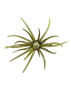 Buy lone-star-disco HAG'S PRICKLY PEAR