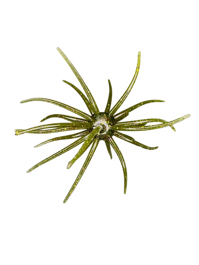 Buy lone-star-disco HAG'S PRICKLY PEAR