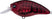 Matte Translucent Red Crawfish