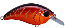 Buy rayburn-red-craw BILL LEWIS SB-57 SQUAREBILL CRANKBAIT