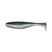 Baitfish