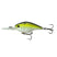 Sexified Charteuse Shad