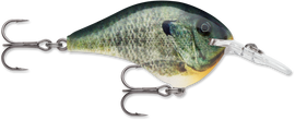 Buy live-bluegill RAPALA DT SERIES CRANKBAITS / DT12