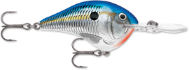 Buy blue-shad RAPALA DT SERIES CRANKBAITS / DT12