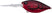 Matte Translucent Red Crawfish