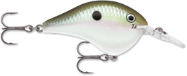 Buy green-gizzard-shad RAPALA DT SERIES CRANKBAITS / DT12