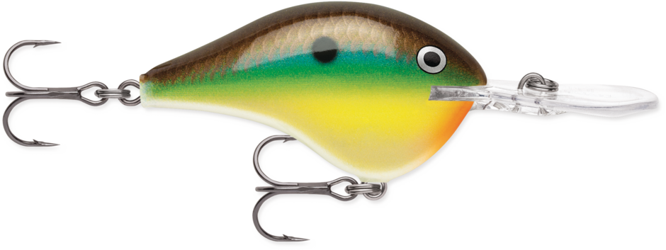 Buy bream RAPALA DT SERIES CRANKBAITS / DT8 - DT10