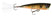 Prism Gold Black