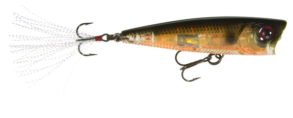 YO-ZURI 3DB POPPER