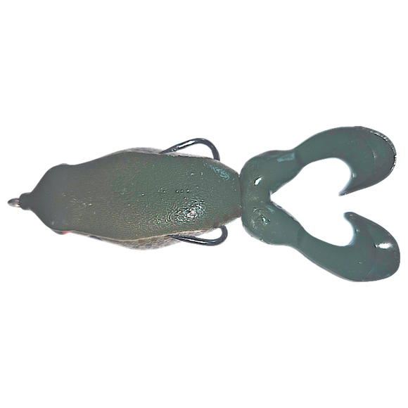 GAMBLER SWIMMING FROG