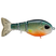 Gill