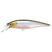 Ghost Minnow