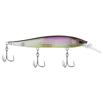Shad Filet
