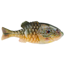 BERKLEY POWERBAIT GILLY - Copperstate Tackle