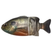 IMAKATSU JAVALLON Gill - Copperstate Tackle