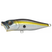 Megabass Pop-X - Copperstate Tackle